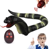 Remote Control Snake Toy (8808A-B)